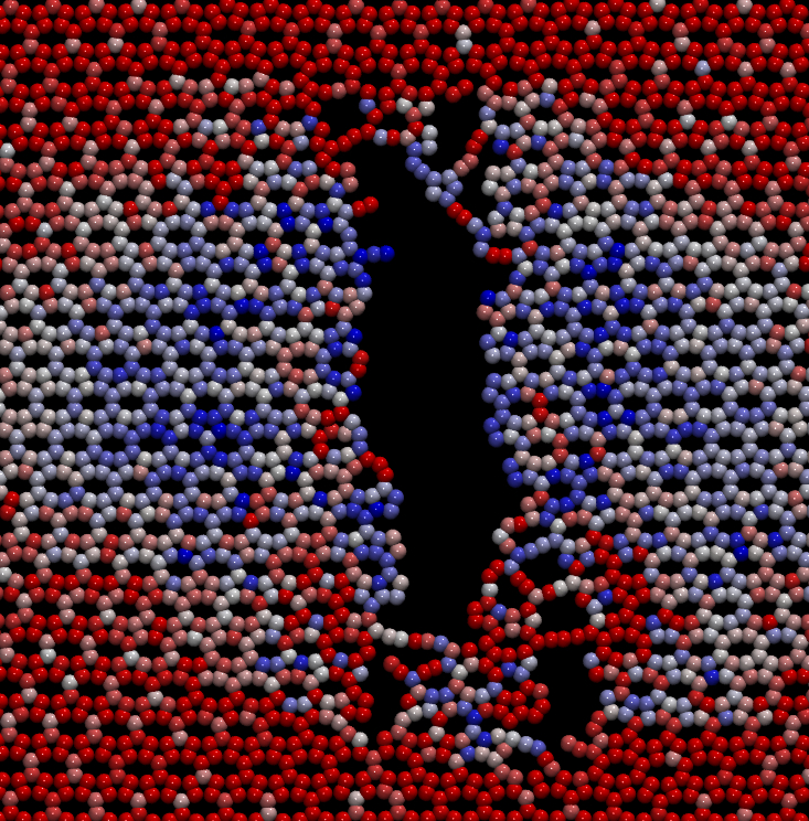 graphical abstract